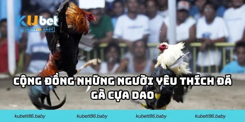 Cộng đồng những người yêu thích đá gà cựa dao