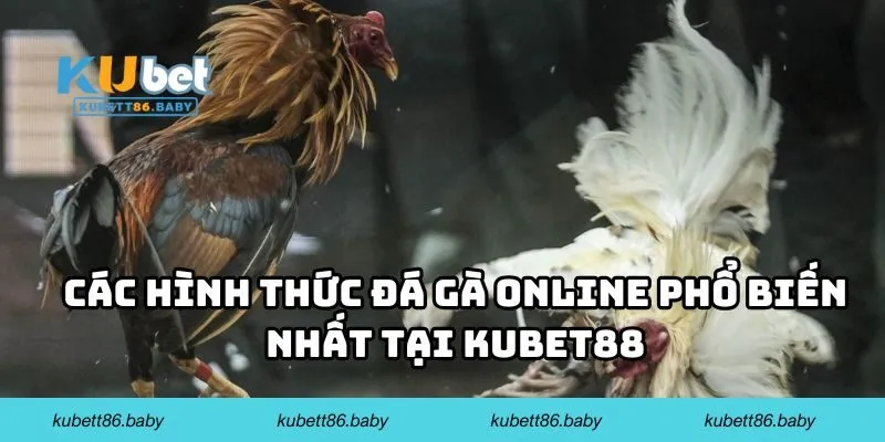 Các hình thức đá gà online phổ biến nhất tại Kubet88